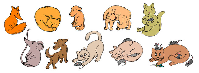 Obraz premium Cats and dogs. Set. Vector is isolated on a white background. Cartoon. Hand drawing.