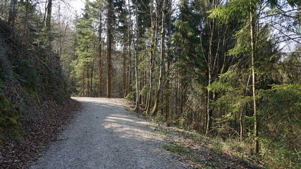 Waldweg
