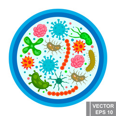 Bacterium and virus. Reproduction. View under the microscope. Disease. For your design.