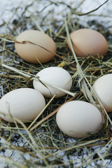 Organic chicken brown and white eggs