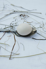 Easter decoration with white egg