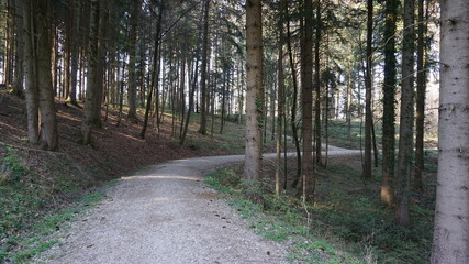 Waldweg