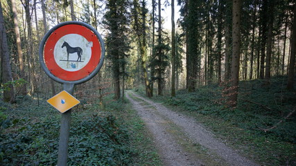 Waldweg mit Reitverbot im Wald