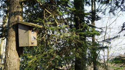 Vogelhaus im Wald