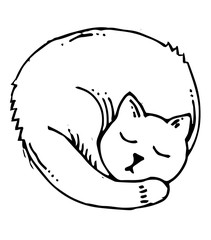 Hand drawing sleeping cat outline. Vector. Drawn in pencil, ink, felt-tip pen, marker on paper. A careless quick sketch. Comic cartoon style. Black and white. Isolated on a white background. Doodle.