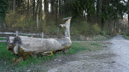 Brunnen vor Wald 