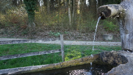 Brunnen vor Wald