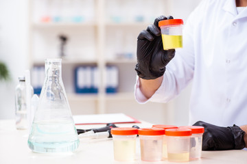 Young male chemist working in the lab