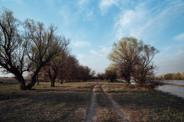 the dirt road goes off into the distance on a green field.