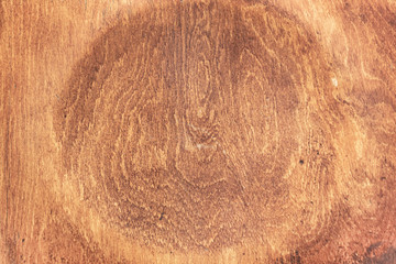 the background of the tree blurred. Round center recess. beautiful layout for design and text