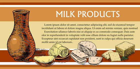 Dairy products isolated vector. A jug of milk, homemade butter, a sandwich, soft white cheese with raisins, yellow hard cheese with greens. Concept design for label, signboard, poster. Retro style.