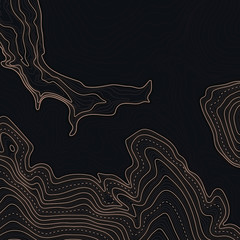 Map line of topography. Vector abstract topographic map concept with space for your copy. Mountain hiking