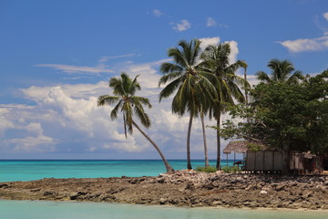 Fototapeta premium Cabane de pêcheur