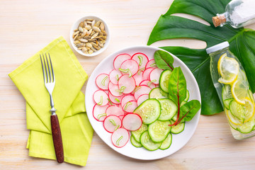 Light salad of radish with cucumber and detox water with cucumbers and lemon on the background of a large leaf of monstera. Healthy diet, keto diet.