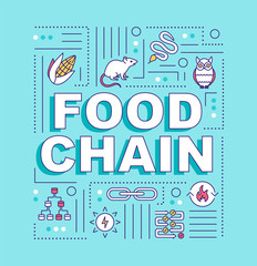 Food chain word concepts banner. Metabolic process, producers and consumers web. Infographics with linear icons on turquoise background. Isolated typography. Vector outline RGB color illustration