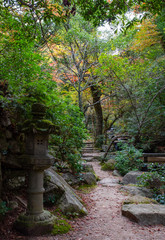 Park  in autumn day. Autumnal nature of Japan. Autumn colors of Momiji-dani park on Itsukushima...