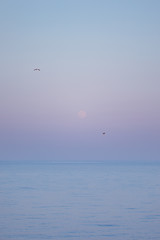 Lever de pleine lune sur la mer