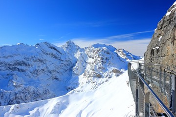 Birg, 2684 m, on the east flank of the Schilthorn. Bernese Alps of Switzerland, Europe.