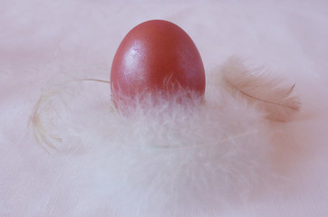 Pink egg with feathers on a white background