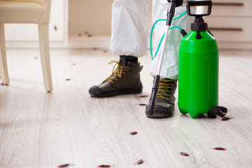 Young male contractor doing pest control at home