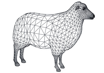 Sheep polygonal lines illustration. Abstract vector sheep on the white background