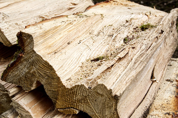 Chop and stack firewood for collection in the Black Forest