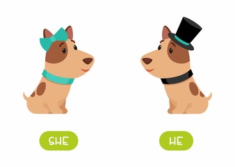 Dog girl and dog boy  illustration with typography. She and he antonyms flashcard vector template. Word card for english language learning with flat characters. Opposites concept. .