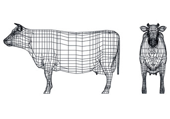 Cow polygonal lines illustration. Abstract vector cow on the white background