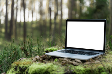 Laptop outside concept. Empty copy space, blank screen mockup. Soft focus laptop in nature background. Ecology travel and work outside office concept. - obrazy, fototapety, plakaty
