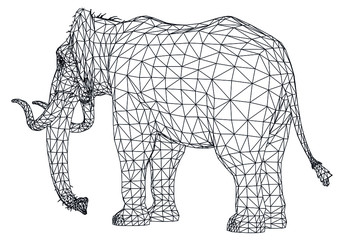 Naumann's Elephant polygonal lines illustration. Abstract vector elephant on the white background
