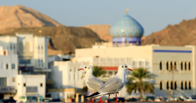 Mutrah Corniche and harbour Muscat