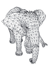 Naumann's Elephant polygonal lines illustration. Abstract vector elephant on the white background