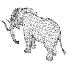 Naumann's Elephant polygonal lines illustration. Abstract vector elephant on the white background