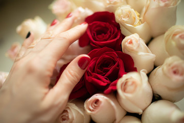 Delicate wedding bouquet of white and pink roses.Delicate wedding bouquet of white and pink roses