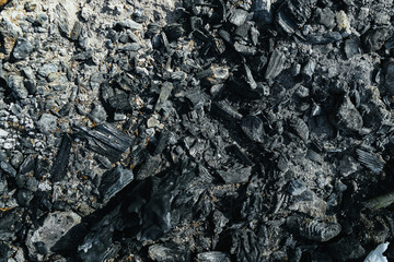 Beautiful burnt wood texture. Natural texture of coal . Organic texture. Natural background
