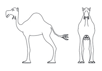 Camel cartoon lines illustration. Abstract vector camel on the white background