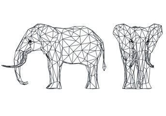 Elephant polygonal lines illustration. Abstract vector elephant on the white background