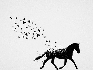 Running horse and flying birds. Endangered animal. Abstract silhouette
