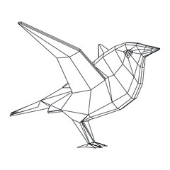 Bird polygonal lines illustration. Abstract vector bird on the white background