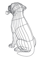 Labrador retriever dog polygonal lines illustration. Abstract vector dog on the white background