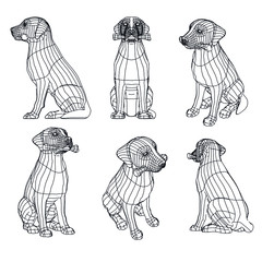 Labrador retriever dog polygonal lines illustration. Abstract vector dog on the white background