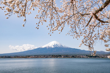 Mount Fuji in spring near Lake Kawaguchiko, Yamanashi Prefecture, Japan