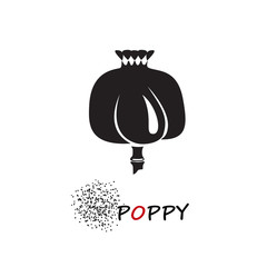 Fototapeta premium Poppy head and seeds vector illustration
