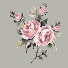 Obrazy  Akwarela kwitnąca kwitnąca gałąź róży