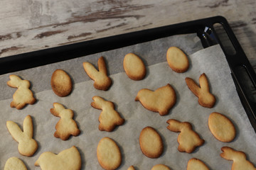 Cooking a homemade cookies, children's homemade cookies