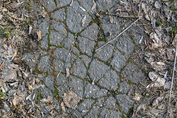 background of old asphalt with sprouted green grass and old dry leaves, top view.