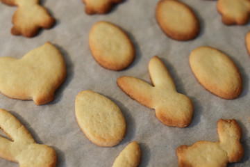 Easter biscuits, baby biscuits in the shape of a rabbit