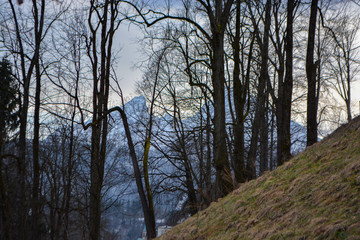 View of Berchtesgaden on the Watzmann