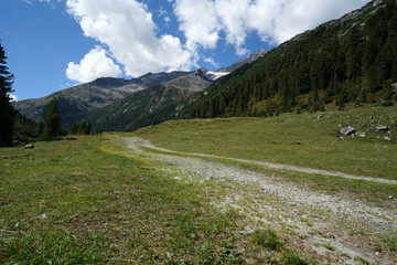 Hiking trails in the Bavarian Forest in spring