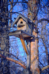 Birdhouse on a tree, tree house.Nature, parks and forests.